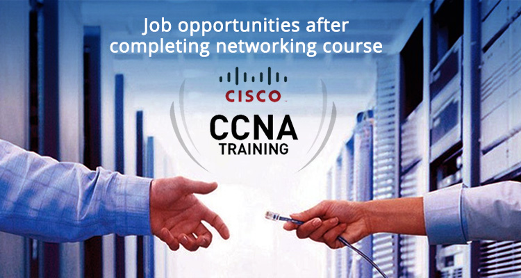 The job opportunities after completing networking course