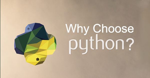 Why Choose Python